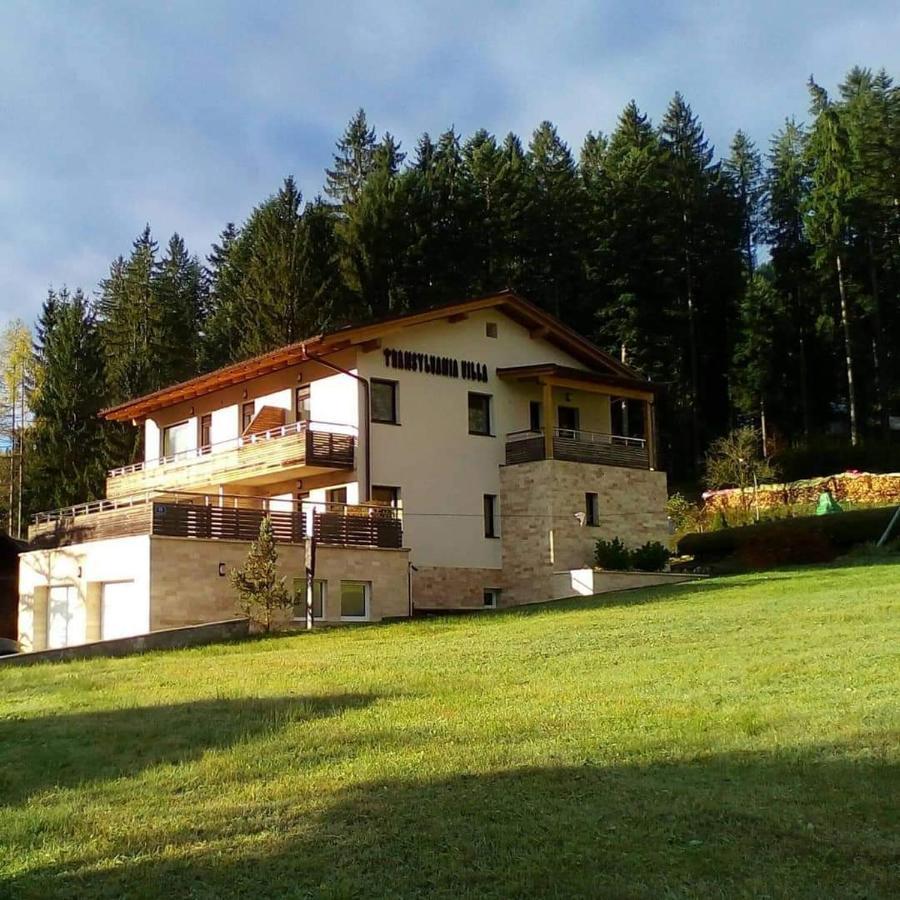Transylvania Villa & Spa Gosau Exterior photo
